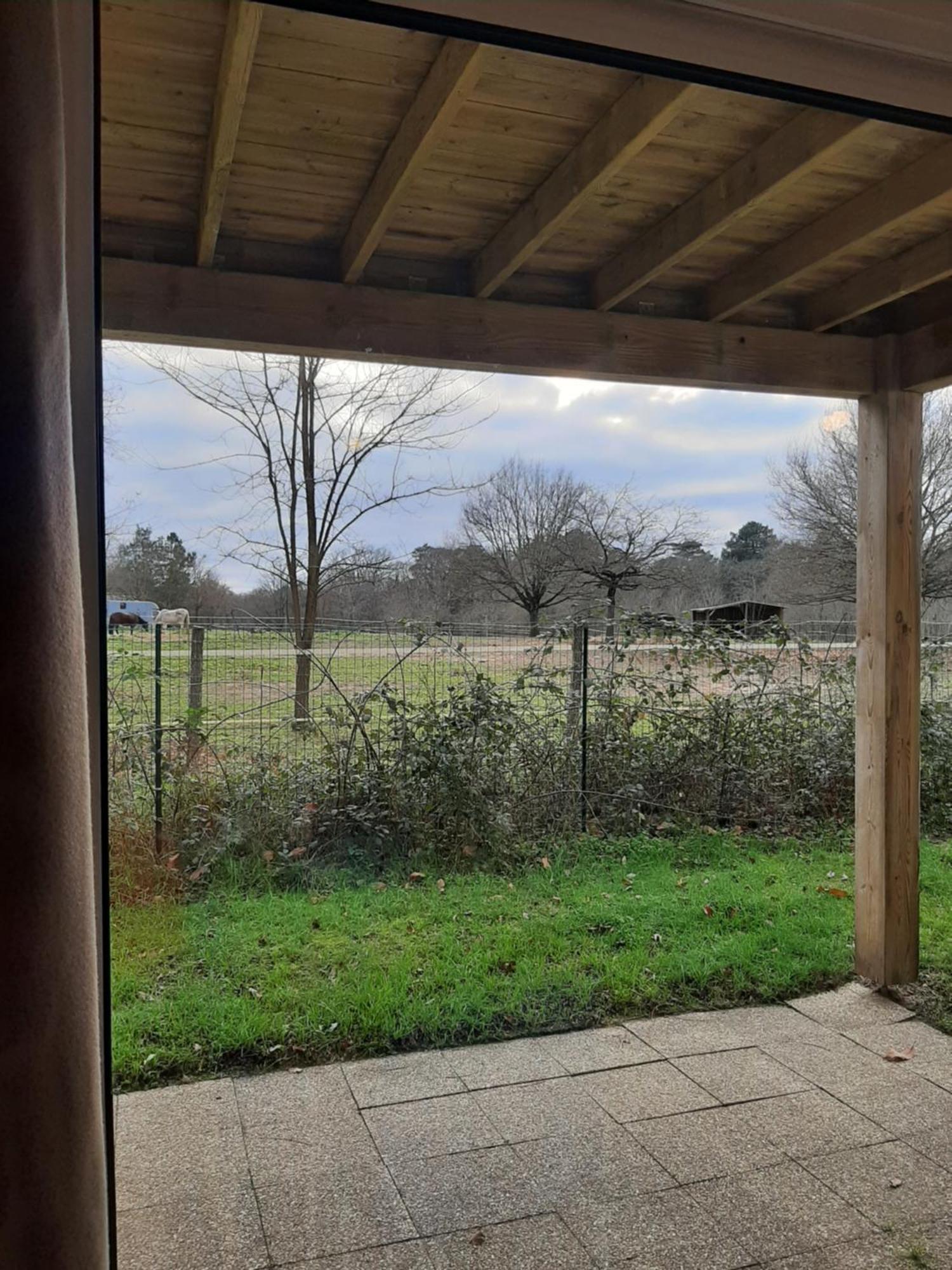 Quartier Des Peintres - Poussin Chaveignes Exterior foto